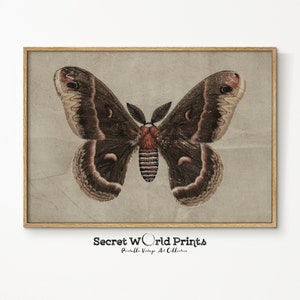 Vintage Neutral Butterfly Print | Dark Moody Insect Wall Art | Antique Butterfly Drawing PRINTABLE | Butterfly Painting DIGITAL DOWNLOAD