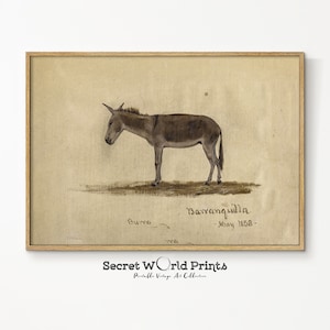 A Donkey Sketch Painting Download | Vintage Animal Portrait Wall Art | Antique Donkey Print | Printable Animal Sketch Digital Download