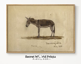 Vintage Donkey Sketch Print: Antique Animal Portrait (Digital Download)