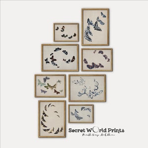 Butterfly Wall Gallery Set of 8 Printable | Nursery Wall Decor | Kids room Wall Art | Butterfly Painting Prints Digital Download | BTFLY-C-3