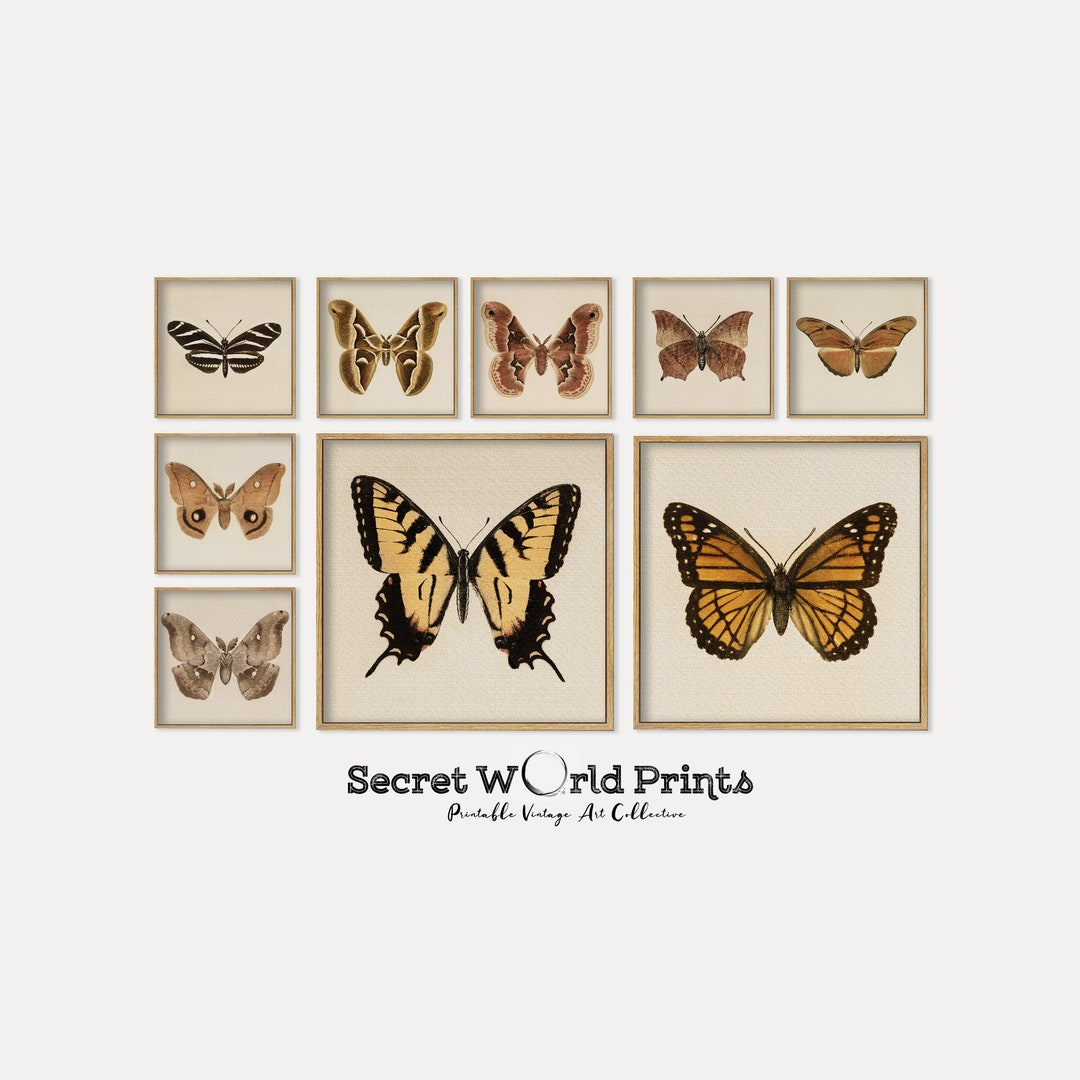 Vintage Butterflies Wall Art Butterfly Prints Gallery Wall Set of 9