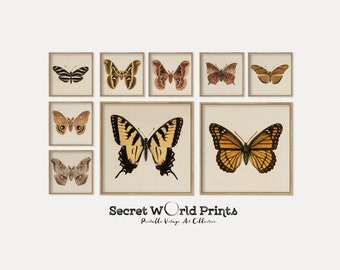 Vintage Butterfly Prints | Gallery Wall Set of 9 (Digital Download)