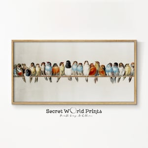 Panoramabild av vintagefågel | Väggkonst i rustik stil med lantlig stil (digital nedladdning)