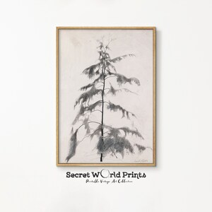 Vintage Winter Tree Sketch Wall Art | Printable Rustic Tree Drawing | Country Farmhouse Decor | DRW-18