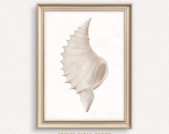 Beige Conch Shell Aquarell Druck: Minimalistische Küstenkunst (Digitaler Download