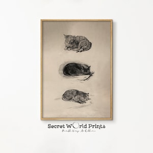 Vintage Katze Skizze Printable | Moggy Zeichnung Digital Download | Dark Pencil Art | Dark Academia Wanddeko | Katzenliebhaber Geschenk | Tier-21