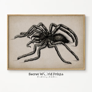 Halloween Spider Art Print | Gothic Vintage Painting | Printable Instant Download | Dark Cottagecore Decor | DA-5