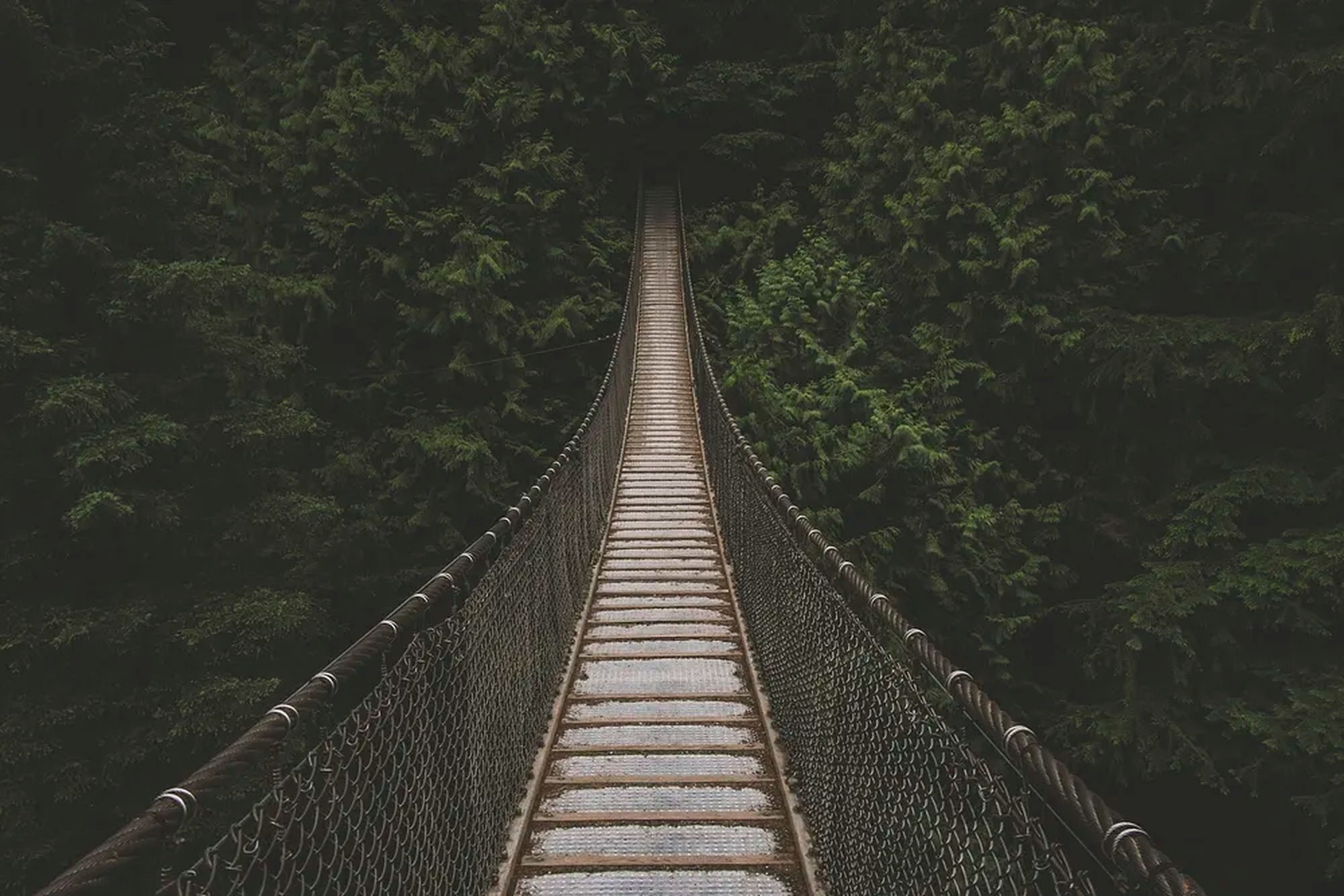 Wooden Rope Bridge -  Canada
