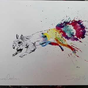 May include: A black and white illustration of a squirrel with a colorful watercolor splatter effect on its tail and body. The text "Sciurus Carolinensis" is written below the squirrel. The image is signed "SB16" in the bottom right corner.