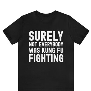 Surely Not Everybody Was Kung Fu Fighting Shirt, Kung Fu Shirt, Funny Fighting Tee, Sarcastic Shirt, Hilarious Saying Shirt, Karate Shirt