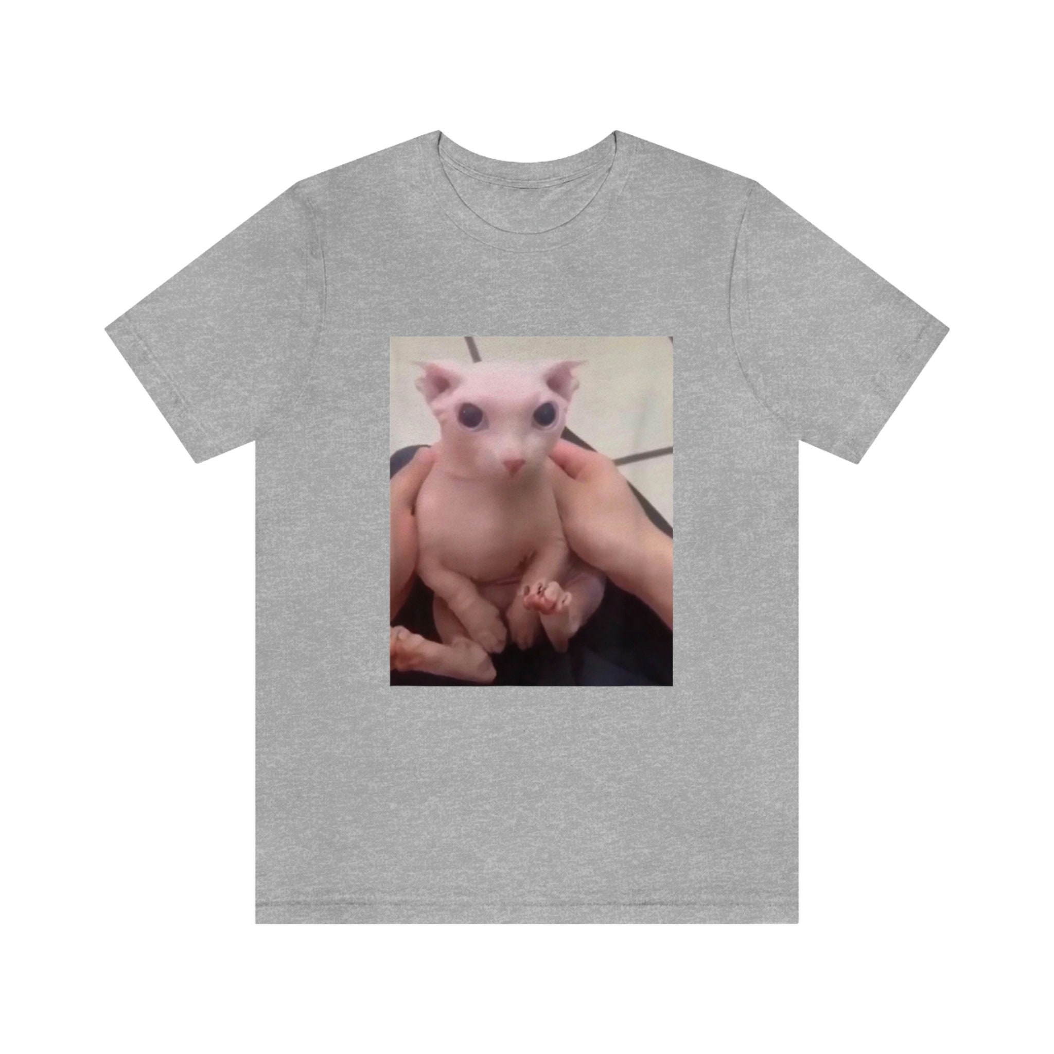 Bingus Fan Shirt, Bingus Shirt ,bingus the Cat Tshit , Bingus My