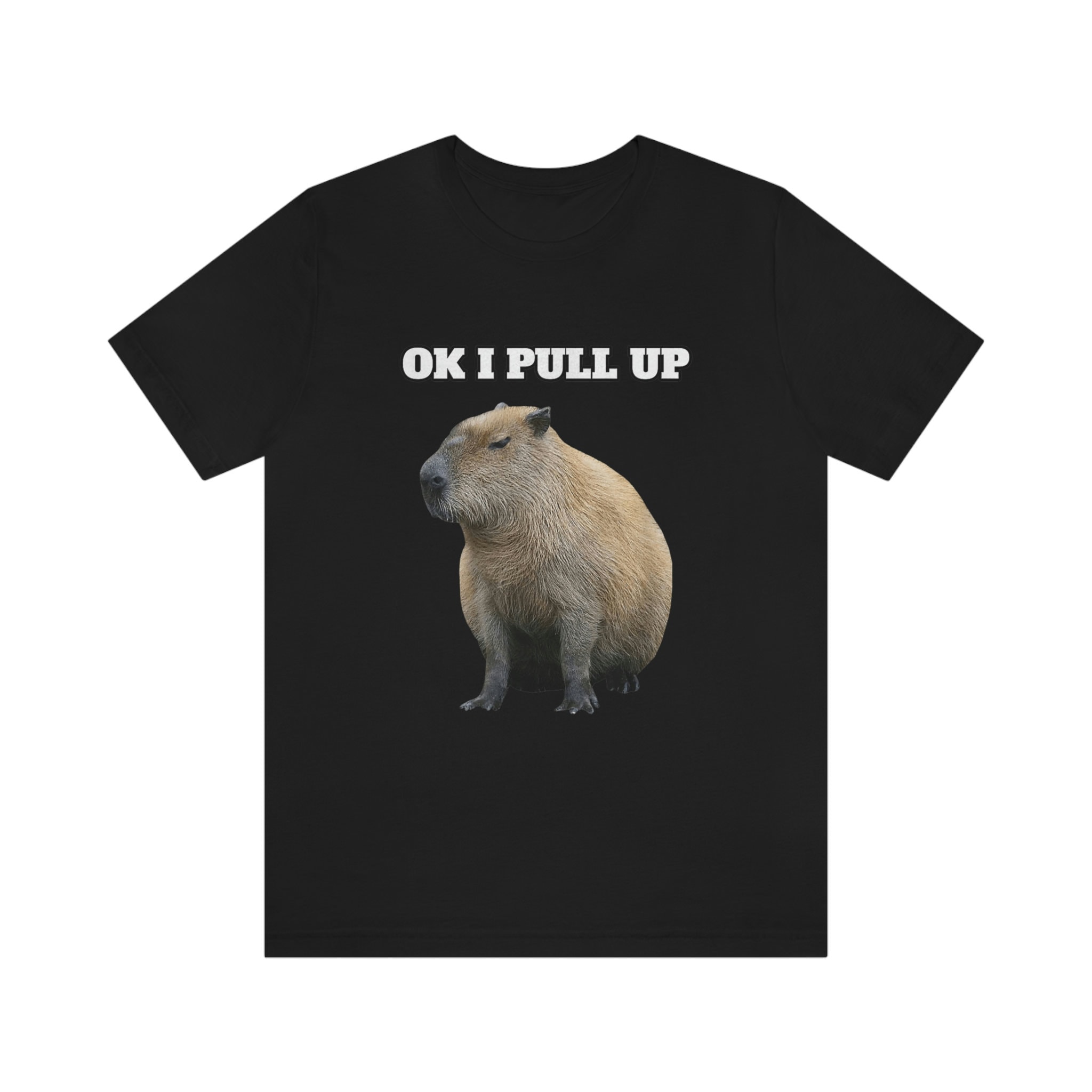 OK I Pull up Capybara Funny Meme T Shirt Ok I Pull up ,capybara