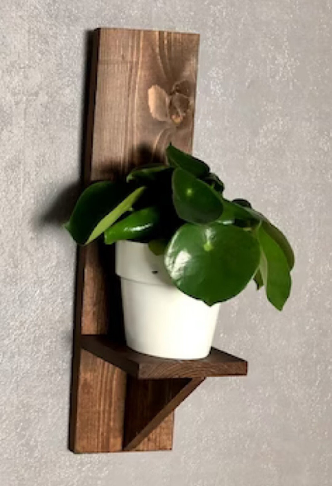 Wall Shelf Plant Stand Etsy