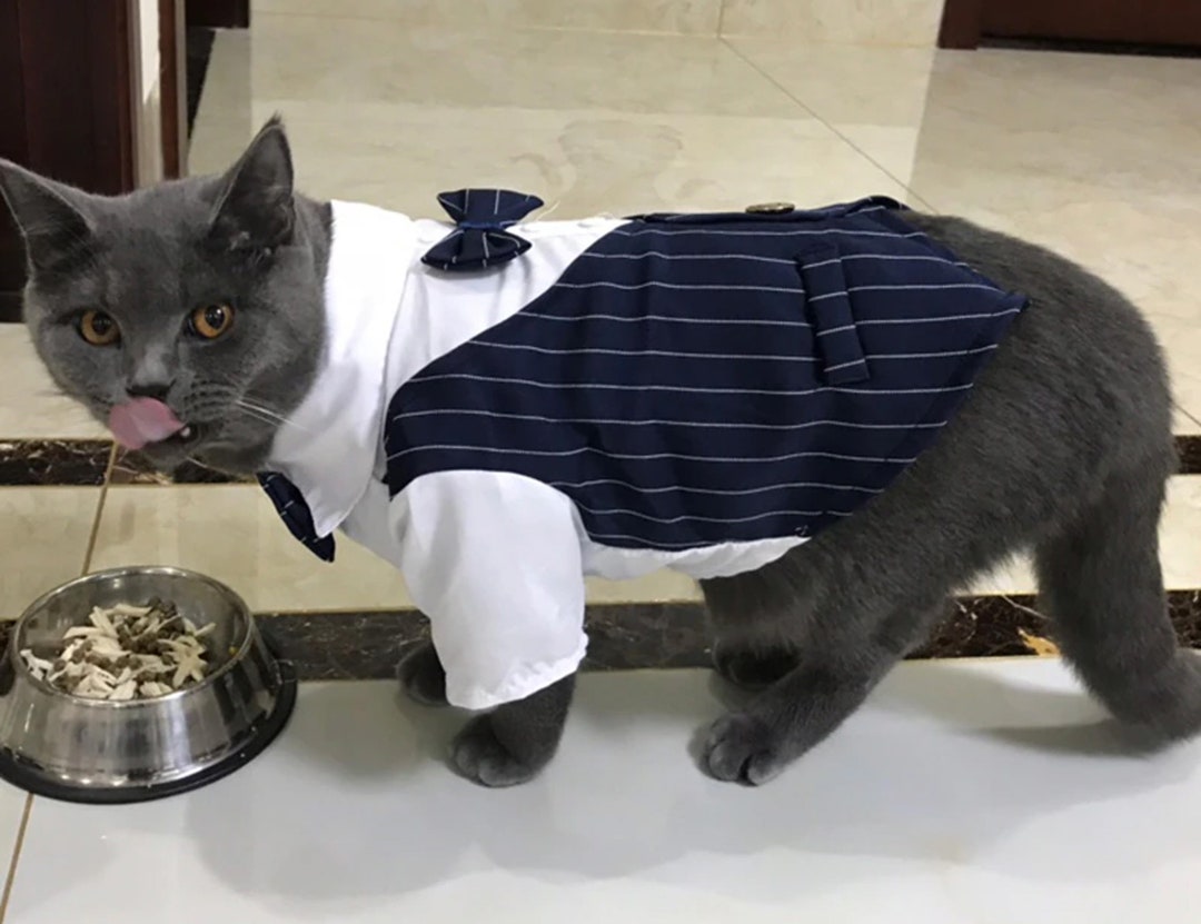 Cat Tuxedo Cat Suit Cat Jacket Small Cat Clothes Cat Etsy