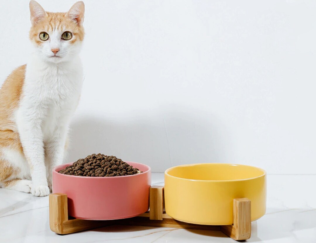 Ceramic Cat Bowl Cat Food Bowl Cat Water Bowl Cat Dishes Etsy