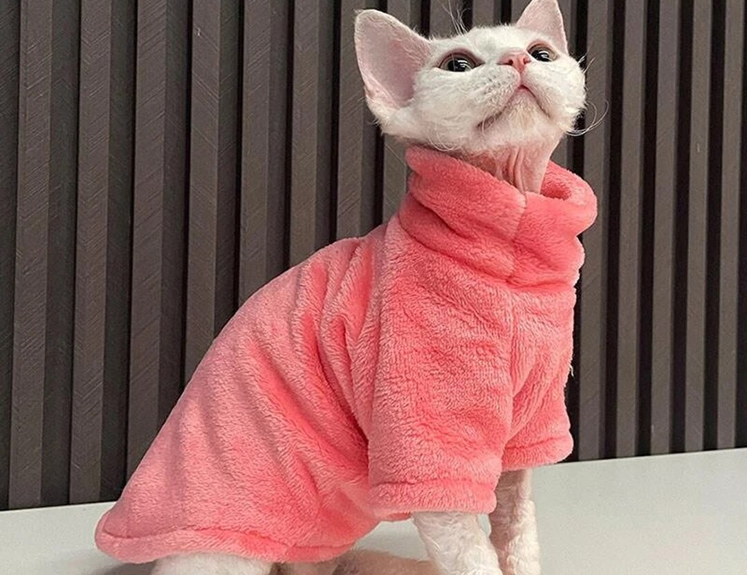 Sphynx cat clothes Cat sweater warm Winter cat clothes Pet Etsy.de