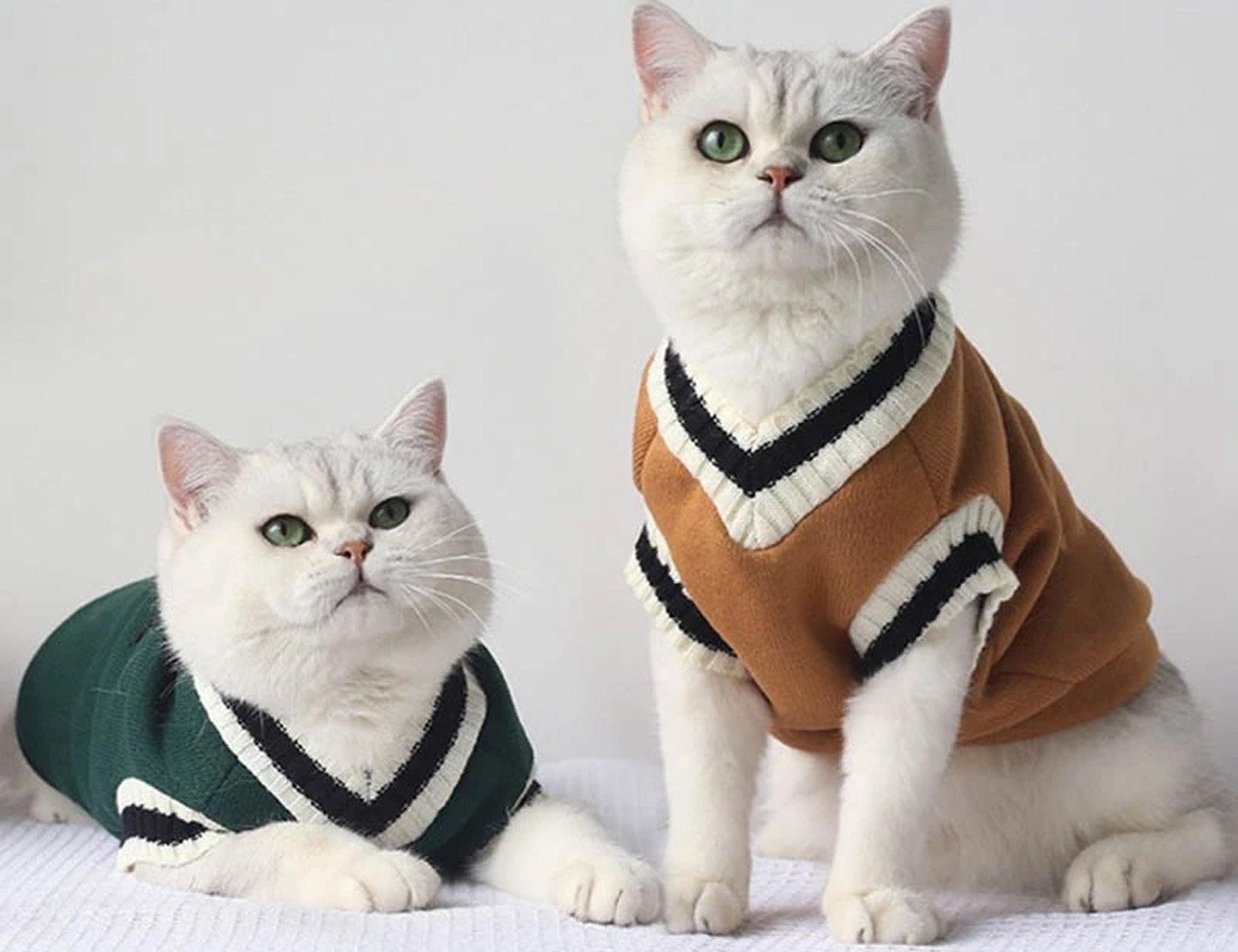 Spring/Summer Pet Cat Clothes for Cats Kitty Kitten Classic Striped Vest  T-shirt Fashion Cotton Cats Shirts Pets Dog Clothing