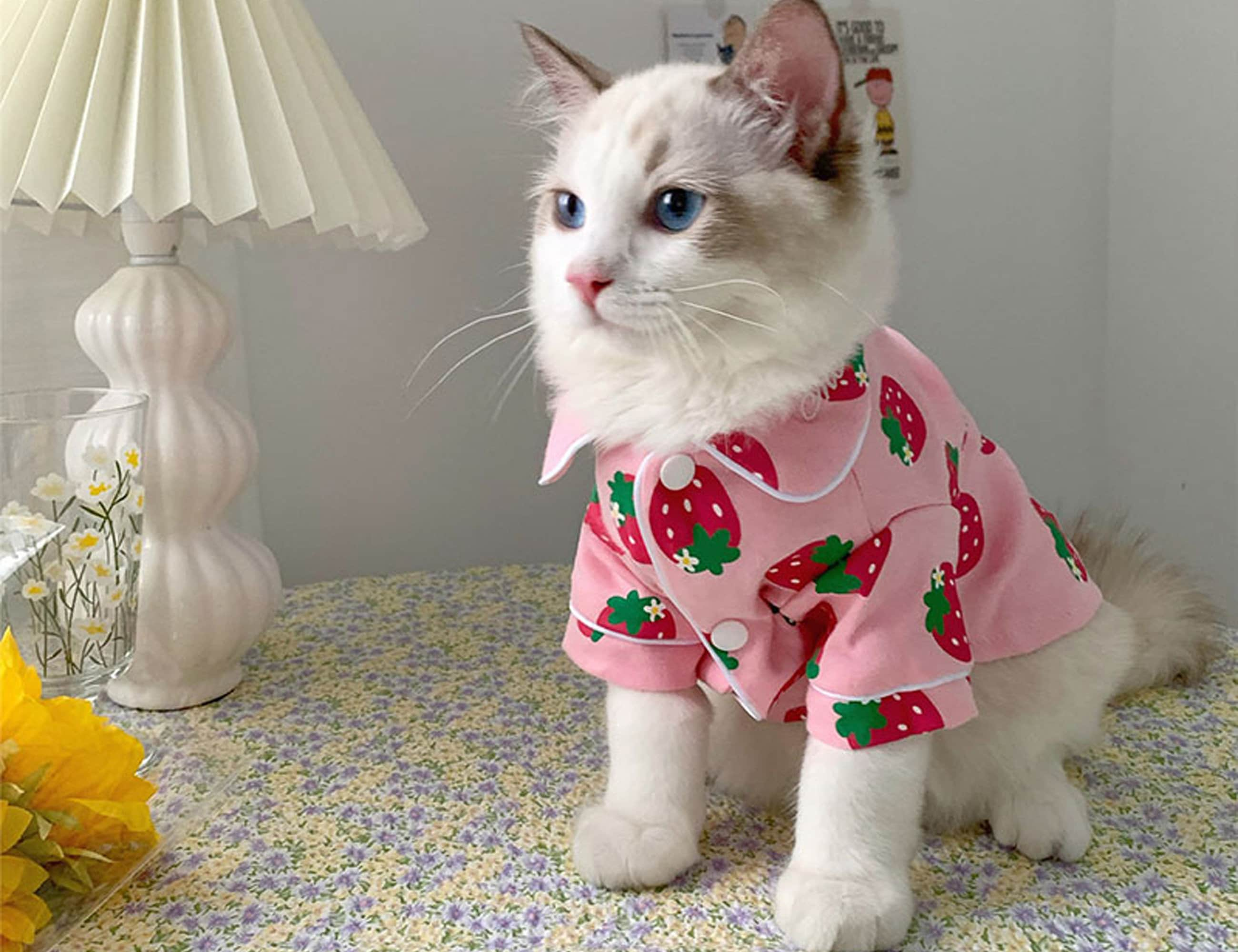 Fluffy Cat Pajamas