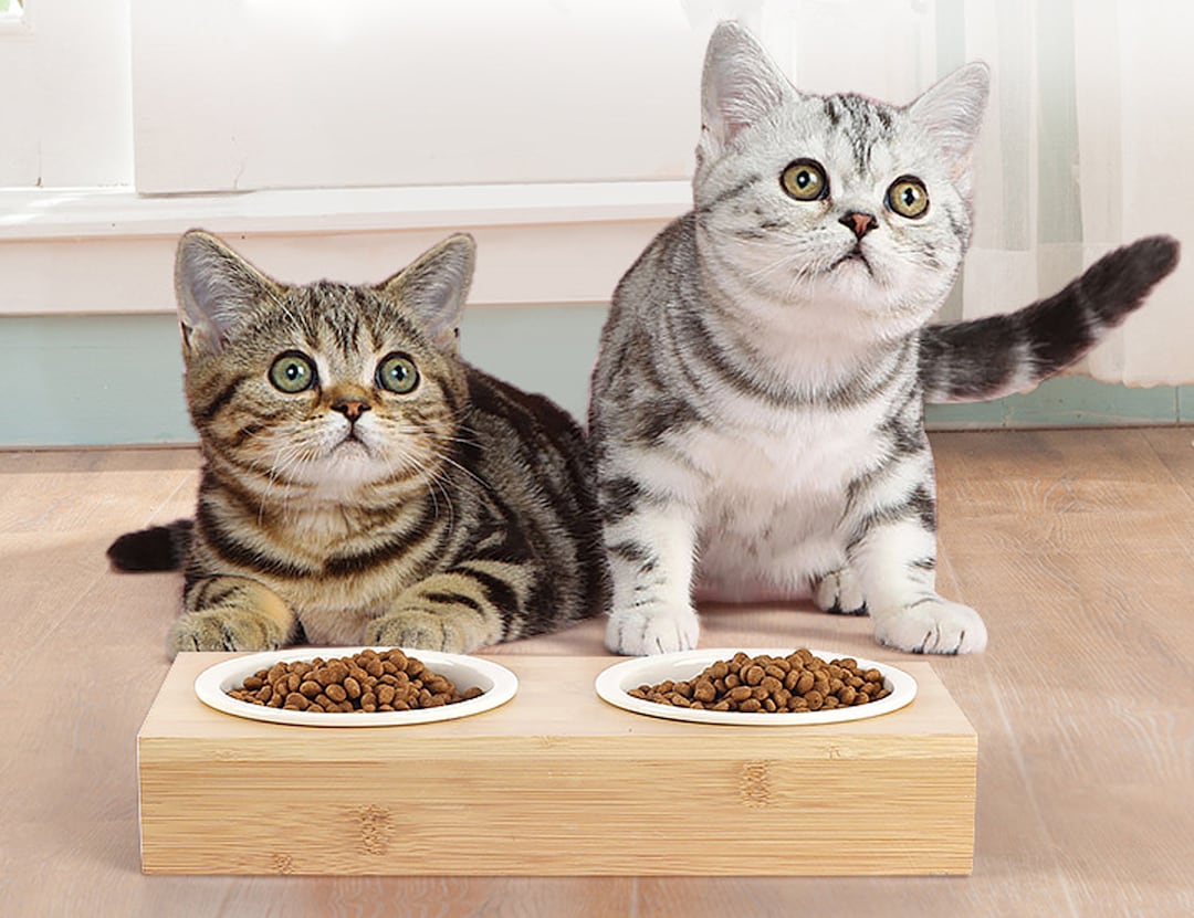 Cat Feeder Cat Food Stand Wood Cat Stand Dog Double Bowl Etsy