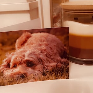 Biglietti d'auguri Cockapoo