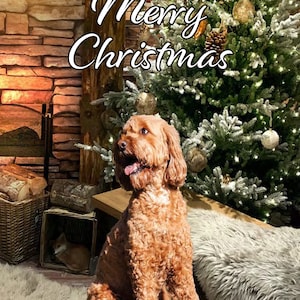 Merry Christmas-fotokaarten - Feestelijke hond Cockapoo-kerstkaart A5