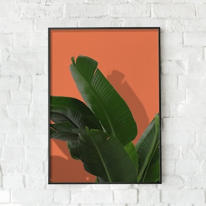 Banana Leaf Plant Digital Prints, Tropical Plant Wall Art Vibrant Poster, Bird of Paradise Plant Botanical Wall Decor Instant Download