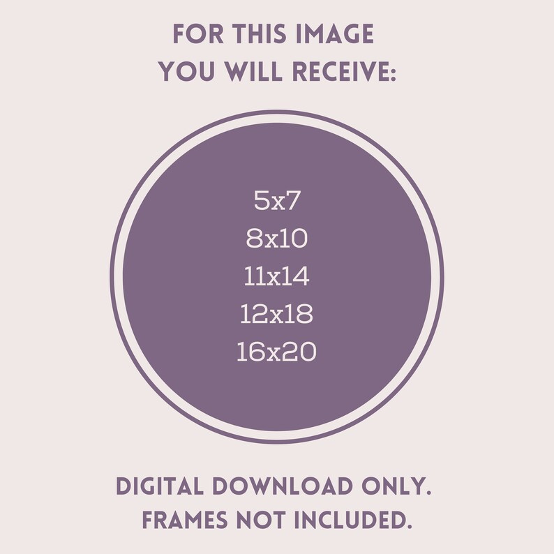 May include: A purple circle with white text listing different print sizes available for digital download: 5x7, 8x10, 11x14, 12x18, and 16x20. The text below the circle reads "DIGITAL DOWNLOAD ONLY. FRAMES NOT INCLUDED."