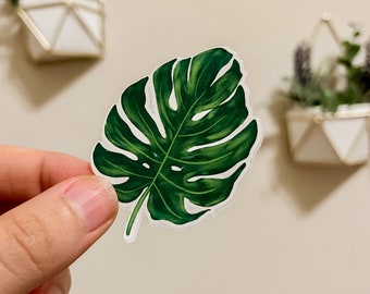 Monstera Leaf Sticker - Plant Sticker - Plant Leaf Sticker - Nature - Laptop Sticker - Water Bottle Sticker