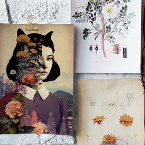 May include: A surreal collage art print featuring a woman with a cat's face, surrounded by colorful flowers and a mountain landscape in the background.