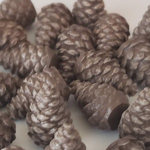 Full Set of Pine Cone Nature Tokens for Cascadia Board Game - 25 Pieces in a Set - Hand Painted Board Game Accessory and Upgrade