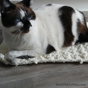 Crochet Cat Bed Pattern PDF from First The Coffee Crochet, an Easy and Quick Beginner Friendly Pet Mat