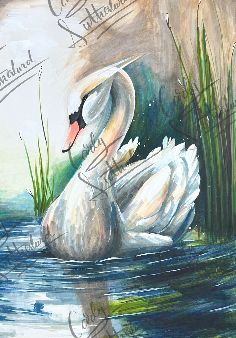 Swan Digital Print Download - Etsy