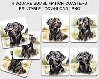Schwarze Labrador-Untersetzer zum Ausdrucken (300 DPI PNG-Bild, quadratisch, Sublimation, 4er-Set)