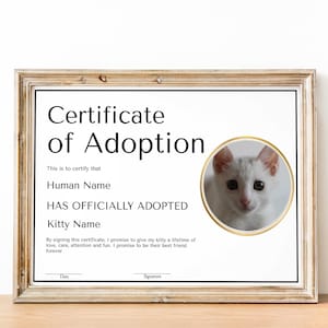 Editable Cat Dog Pet Adoption Certificate, Pet Adoption Certificate Template, Printable Pet Adoption Party Certificate, Cat Birthday Party