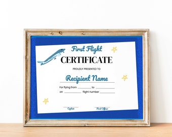 My First Flight Certificate Template, Award Certificate for Kids, Travel Certificate, Bravery Award for Flight, Editable Award Certificate