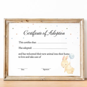 Adoption Certificate For Stuffed Animal, Rabbit Adoption Certificate, Bunny Adoption, Adopt a Toy, Instant Download, Digital, Toy Adoption
