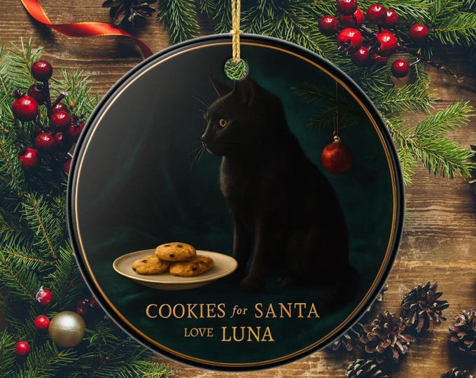 Black Cat Cookies for Santa Ceramic Ornament Christmas Tree Decor