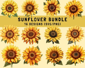 Sunflower svg Bundle - Floral SVG, Wildflower svg, Spring svg - png svg Files for Cricut, Sunflower Clipart