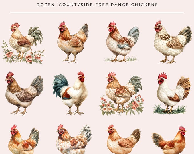Countryside Chicken png Chicken shirt Chicken png Files Floral Chicken png Floral Chicken Chicken Drawing Chicken Lover Chicken png