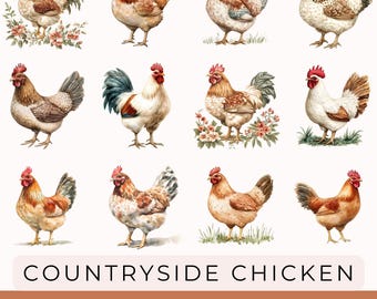 Floral Chicken PNG Bundle: Farmhouse T-Shirt Designs (Digital Download, SVG/PNG Files)