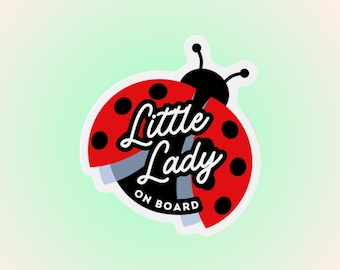 Baby On Board Car Magnet Cute Bumper Sticker Babies On Board Baby Shower Gift Pregnancy Announcement Car Baby Accessories Little Lady Bug