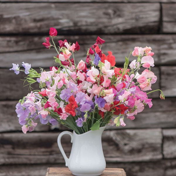 Sweet Pea Seeds ~ FREE SHIPPING ~  Elegance Formula Mix ~ 25+ Seeds ~ Cut Flowers