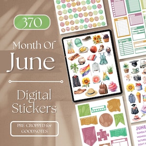 JUNE Digital Stickers 2023 GOODNOTES STICKERS | 370+ Month of June GoodNotes Planner Digital Books Stickers Pack, Aesthetic Sticker [EF020]