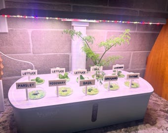 Plant Markers and Plant Labels (pack of 4)