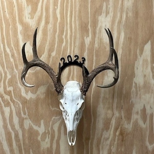 European Deer Hanger 6 inch image 1