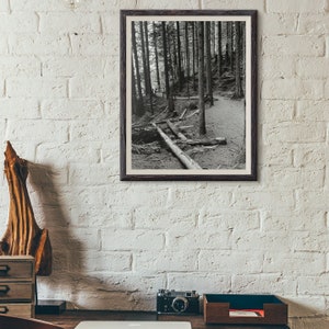 Photography, Download, Printable, Home Décor