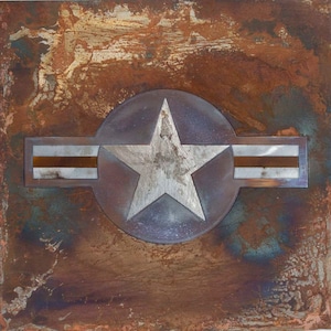 United States Air Force (USAF) roundel, steel artwork