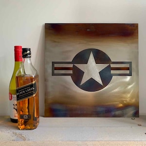 United States Air Force (USAF) roundel, steel artwork
