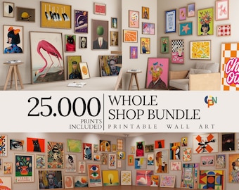 Paquete de tienda completa, arte mural ecléctico, póster maximalista, póster retro de moda, decoración de habitaciones preppy, impresiones Bauhaus y boho, arte mural vintage