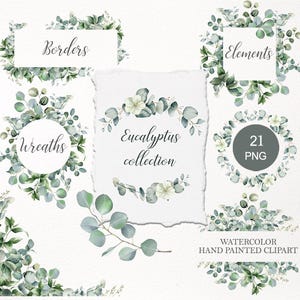 Può includere: Clipart ad acquerello dipinto a mano con foglie di eucalipto ed elementi floreali. L'immagine include bordi, ghirlande ed elementi con il testo "Borders", "Wreaths", "Elements", "Eucalyptus collection" e "21 PNG".